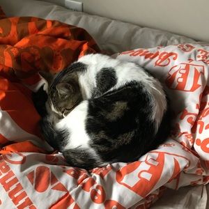 Meet your Posher, Brad